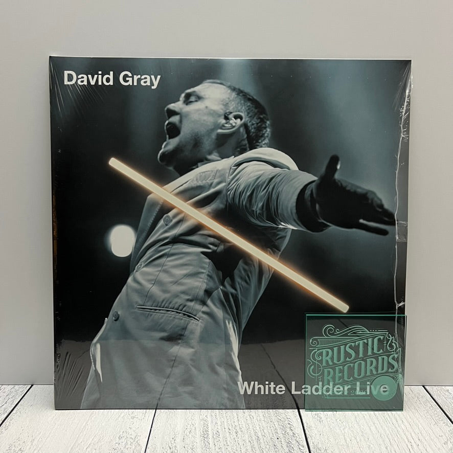 David Gray - White Ladder Live