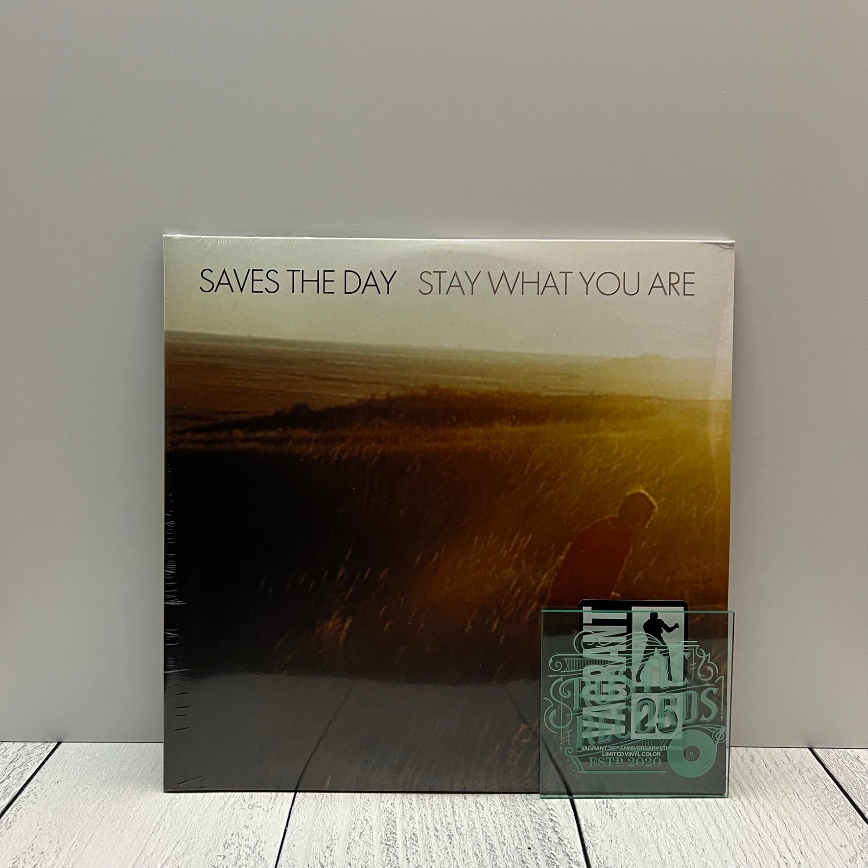 Saves The Day - Stay What You Are 10
